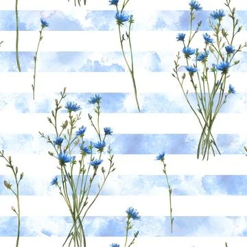 Wildflower bouquet seamless pattern. Field, meadow blue chicory flowers Illustrazione stock