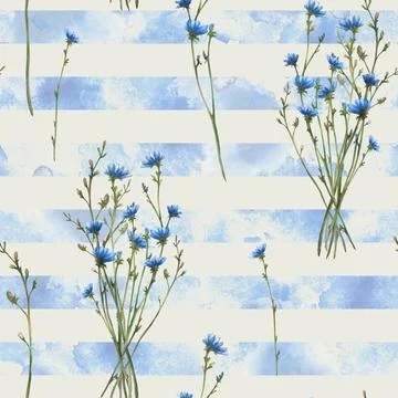 Wildflower bouquet seamless pattern. Field, meadow blue chicory flowers Stock Illustration