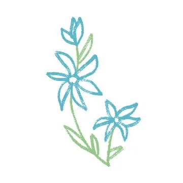 Wildflower brunch crayon drawn. Spring field plant doodle. Summer floral kids Stock Illustration