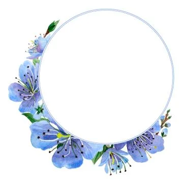 Wildflower cherry flower frame  in a watercolor style isolate Illustrazione stock