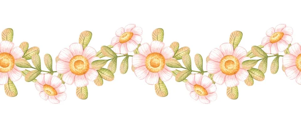 Wildflower daisy border seamless pattern Stock Illustration