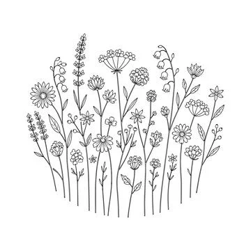 Wildflower Hand Embroidery Pattern 2, Floral Meadow Hoop Embroidery Pattern DIY Stock Illustration