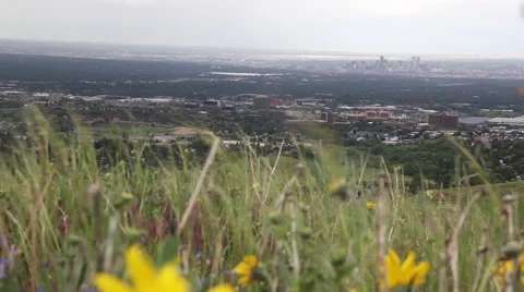 Wildflower Hill Over Denver Stock Footage