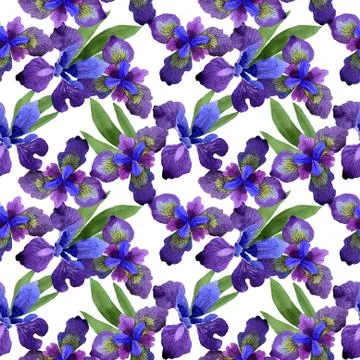 Wildflower iris flower pattern in a watercolor style isolated Stock Illustration
