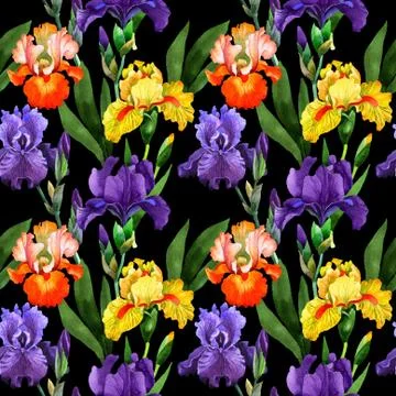 Wildflower iris flower pattern in a watercolor style isolated Stock Illustration