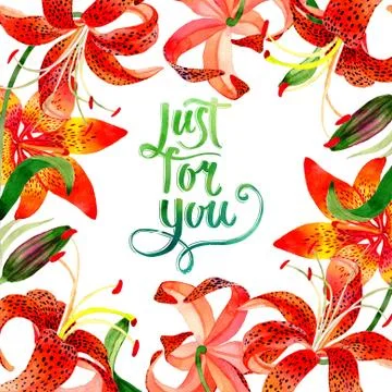 Wildflower leopard lily flower frame in a watercolor style isolated 스톡 일러스트