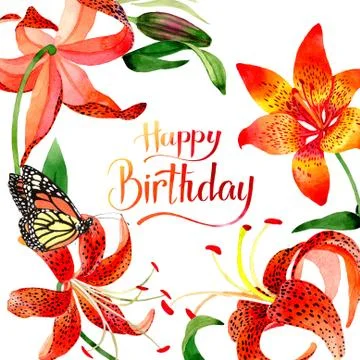 Wildflower leopard lily flower frame in a watercolor style isolated Stock Illustration