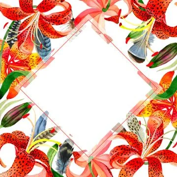 Wildflower leopard lily flower frame in a watercolor style isolated Stock Illustration