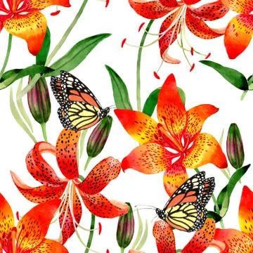 Wildflower leopard lily flower pattern in a watercolor style isolated Stock Illustration