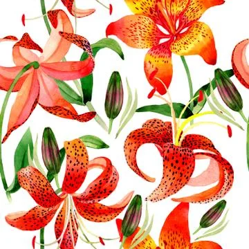 Wildflower leopard lily flower pattern in a watercolor style isolated Stock Illustration
