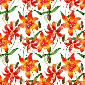 Wildflower leopard lily flower pattern in a watercolor style isolated Stock Illustration