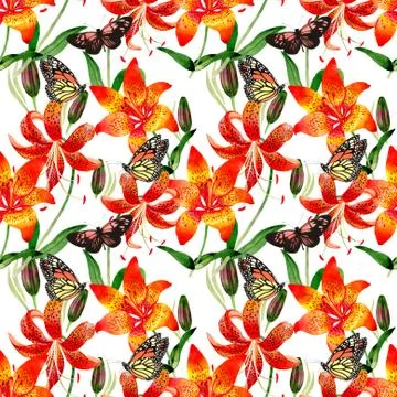 Wildflower leopard lily flower pattern in a watercolor style isolated Stock Illustration