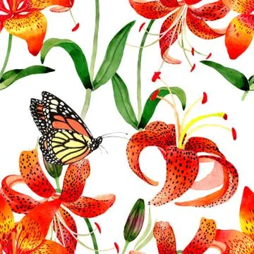 Wildflower leopard lily flower pattern in a watercolor style isolated Stock Illustration