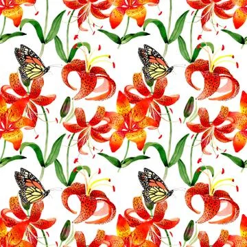 Wildflower leopard lily flower pattern in a watercolor style isolated Stock Illustration