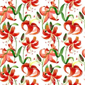 Wildflower leopard lily flower pattern in a watercolor style isolated Stock Illustration