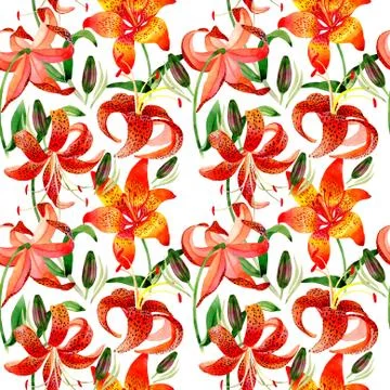 Wildflower leopard lily flower pattern in a watercolor style isolated Stock Illustration