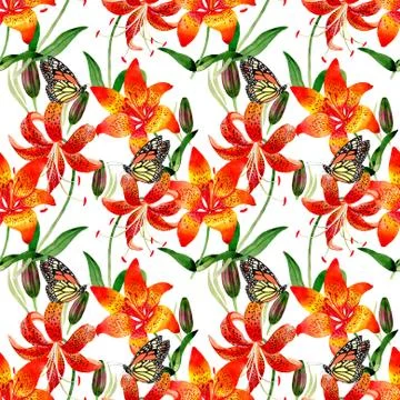 Wildflower leopard lily flower pattern in a watercolor style isolated Stock Illustration