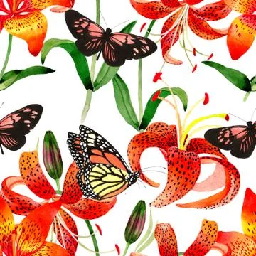 Wildflower leopard lily flower pattern in a watercolor style isolated Stock Illustration