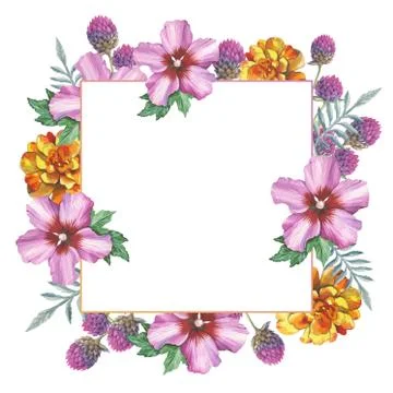Wildflower marigold, hibiscus, gomphrena frame in a watercolor style isolated Illustrazione stock