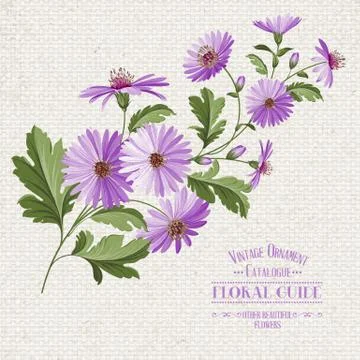 Wildflower print. Illustrazione stock