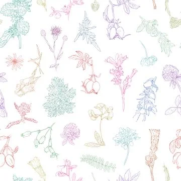 Wildflowers berries seamless pattern Hand drawn vector botanical illustration Illustrazione stock