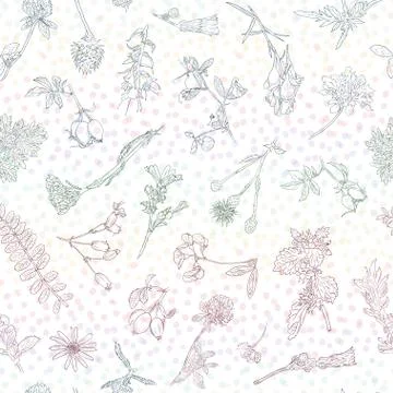 Wildflowers berries seamless pattern Hand drawn vector botanical illustration Stock Illustration