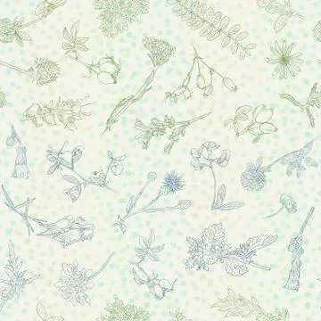 Wildflowers berries seamless pattern Hand drawn vector botanical illustration Stock-Illustration