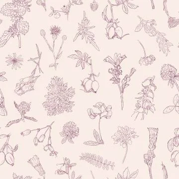 Wildflowers berries seamless pattern Hand drawn vector botanical illustration Stock Illustration