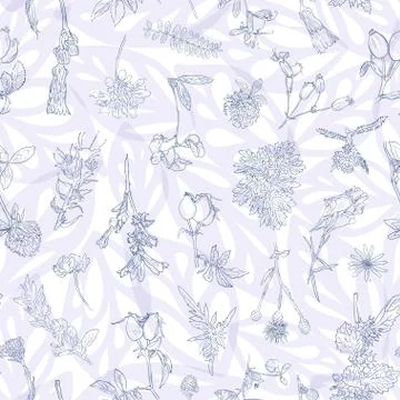 Wildflowers berries seamless pattern Hand drawn vector botanical illustration Stock Illustration
