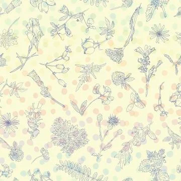 Wildflowers berries seamless pattern Hand drawn vector botanical illustration Illustrazione stock