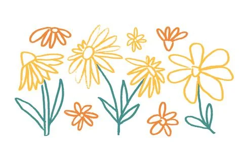 Wildflowers crayon drawn set. Spring daisy, chamomile and marguerite plants Stock Illustration