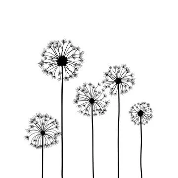 Wildflowers dandelion field, drawing, line art vector illustration. Set of Stock Illustration