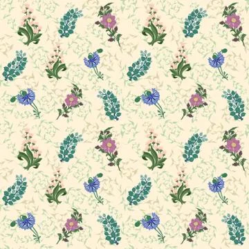 Wildflowers drawn pattern background. Lily of the valley, cornflower Stock-Illustration