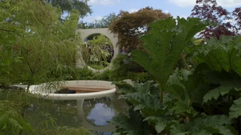 Wildflowers in the garden Video stock 155151311