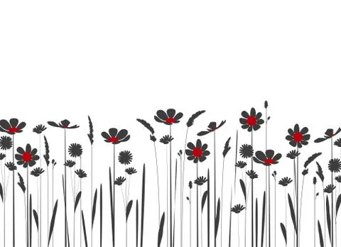Wildflowers Illustrazione stock
