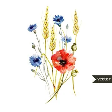 Wildflowers Stock Illustration