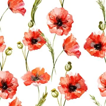 Wildflowers Stock Illustration