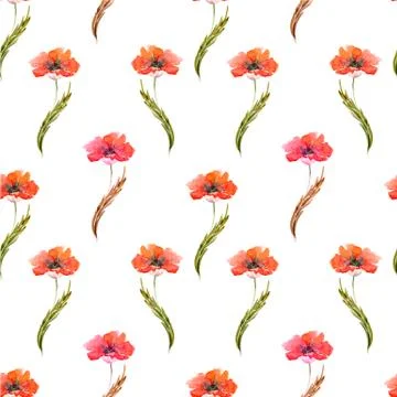 Wildflowers Stock Illustration