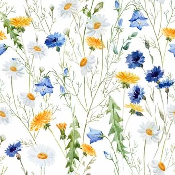Wildflowers Stock Illustration