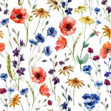 Wildflower Sketch Images – Browse 71,117 Stock Photos, Vectors, and Video