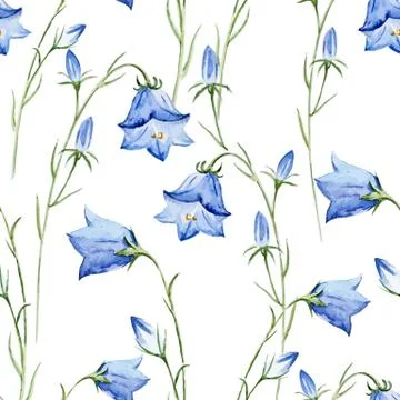 Wildflowers Stock Illustration