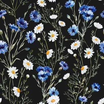 Wildflowers Stock Illustration