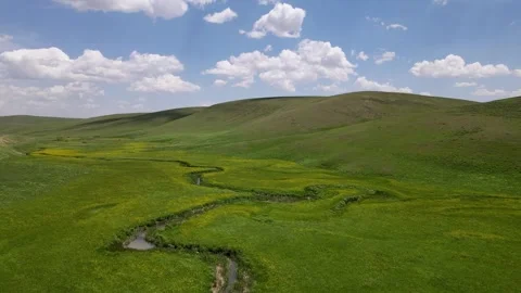 Wildflowers, Meanders and Cloudy Blue Sky Vídeo Stock 334796909
