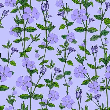 Wildflowers pattern seamless background. Exotic wallpaper. Modern trendy prin 库存插图