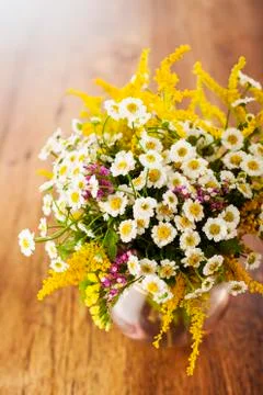 Wildflowers Stock Photos