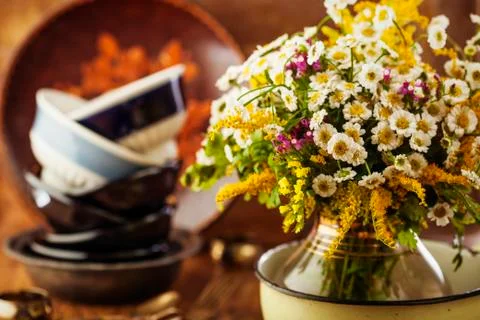 Wildflowers Stock Photos