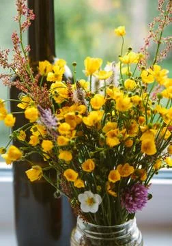 Wildflowers Stock Photos