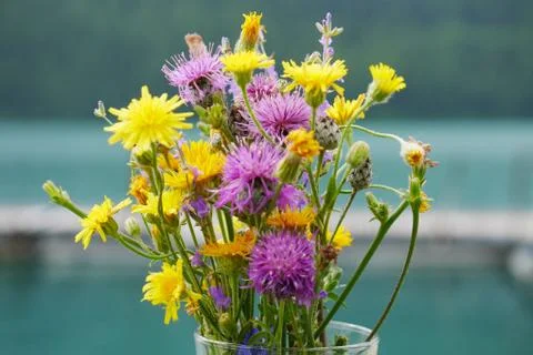 Wildflowers Stock Photos