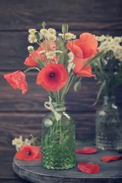 Wildflowers Stock Photos