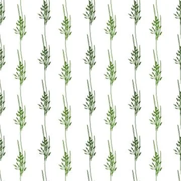 Wildflowers seamless pattern background. Vector print design. Nature backgrou Stock Illustration